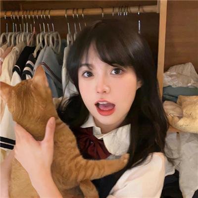 机械危情